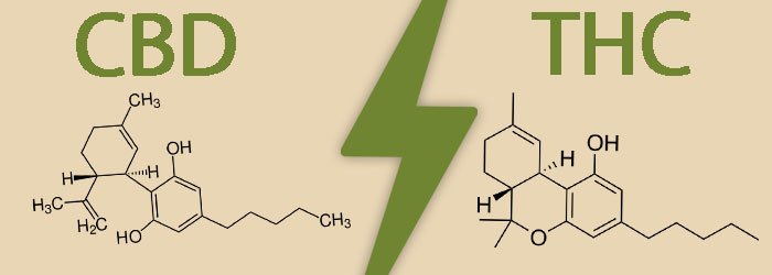 cbd et thc différence