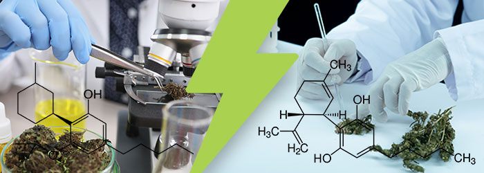 hhc vs h4cbd