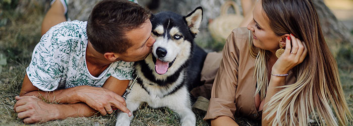 alternatives pour les vapoteurs proprietaires d'animaux