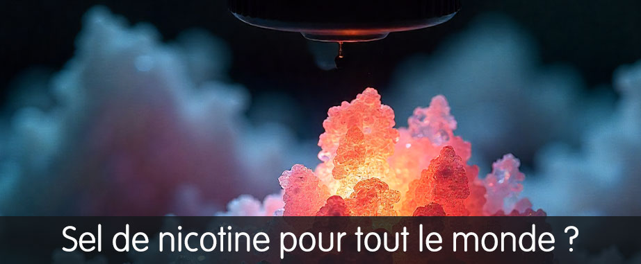 sel de nicotine eliquide