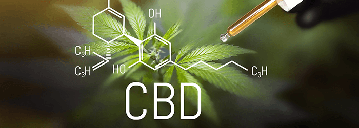 cbd définition