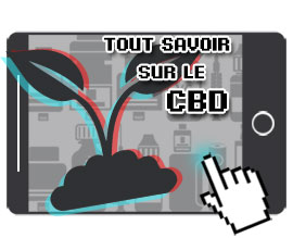 le cbd c'est quoi