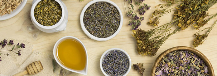 phytoth&eacute;rapie pour maigrir