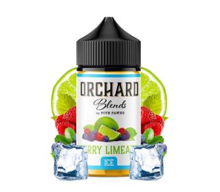 acheter e liquide berry limeade pas cher