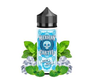 achat e liquide 100ml menthe pas cher