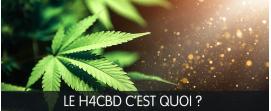 h4cbd c'est quoi