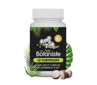 cachet energie cbd vitamine b 