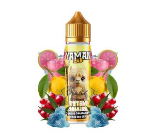 totem solaire greeneo prix