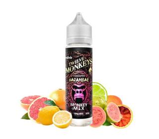 e liquide Twelve Monkeys Harembae 50ml