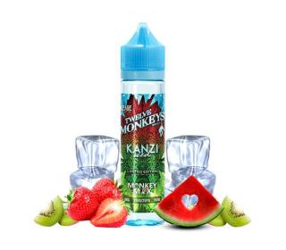 e liquide Twelve Monkeys Kanzi Iced