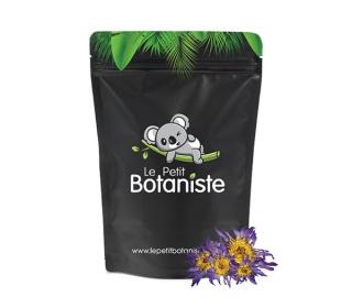 fleur de lotus bleu hallucinogene effets