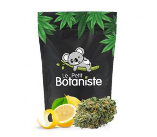 achat fleur chanvre cbd lemon haze