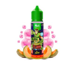 e-liquide melon sans fresh sucre