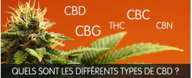 cbd cbg thc cbn difference