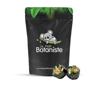sucette chewing gum cannabis lollipop