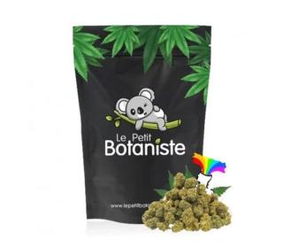nzt cbd avis