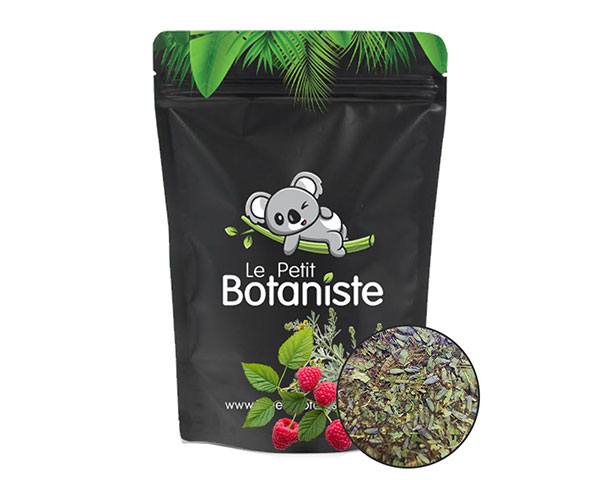 alternative tabac sans nicotine