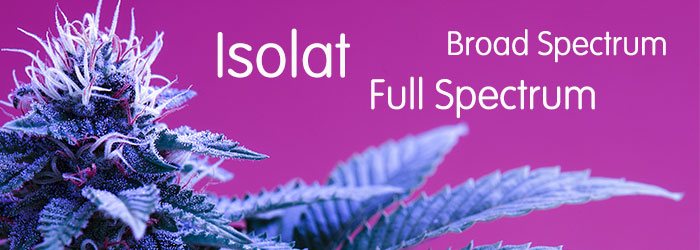 difference entre isolat CBD full et broad spectrum